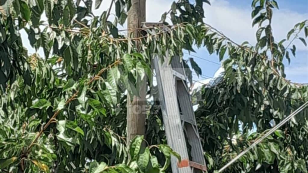 Hombre muere por descarga eléctrica en Sagrada Familia