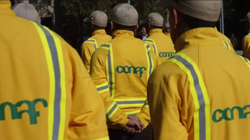 Fin al paro en CONAF: Sindicatos logran "importantes acuerdos" y finalizan movilización