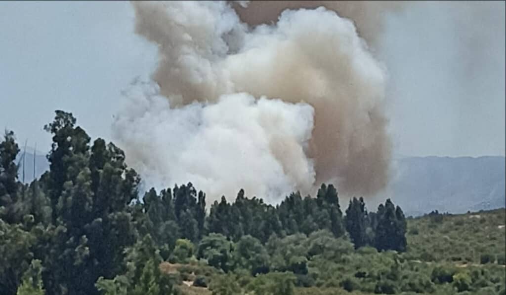 Senapred solicita evacuar sectores de Las Cabras por incendios forestales