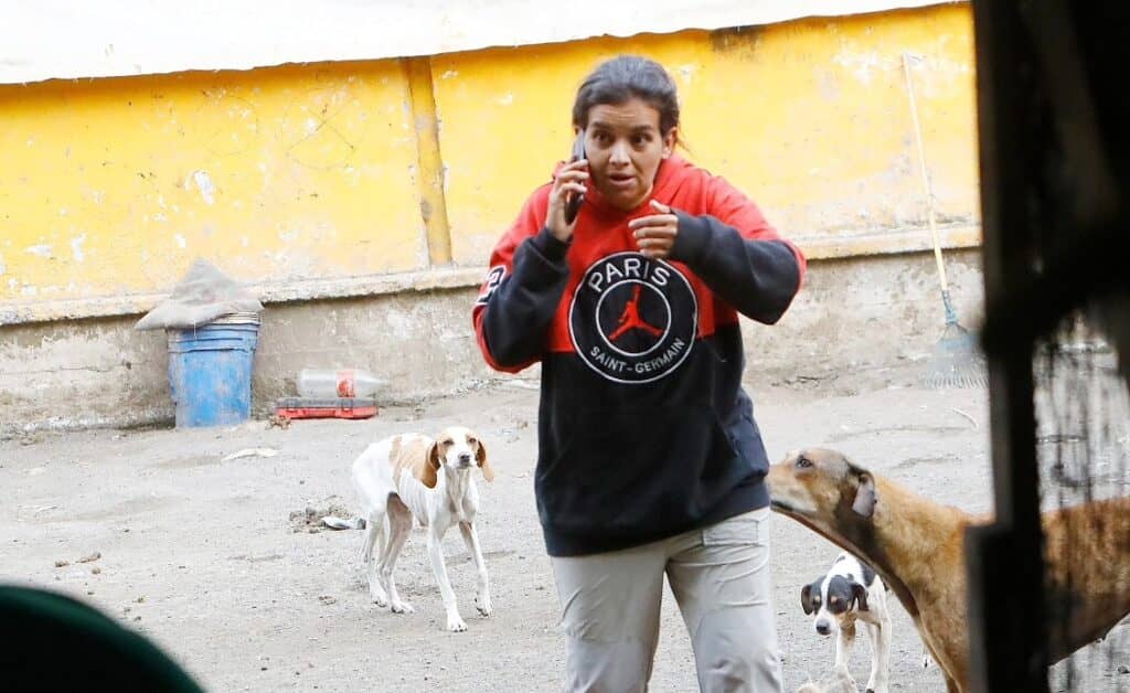 "Esa maldita... pagará": Las amenazas de imputada por maltrato animal a concejal de Curicó