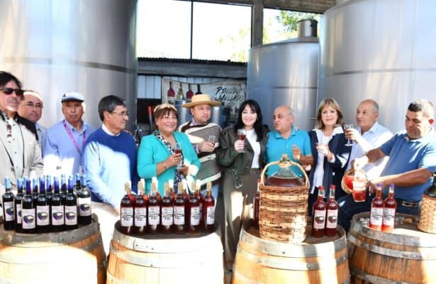 Municipio de Sagrada Familia realizó lanzamiento de la Fiesta de la Chicha de Rincón de Mellado 2024