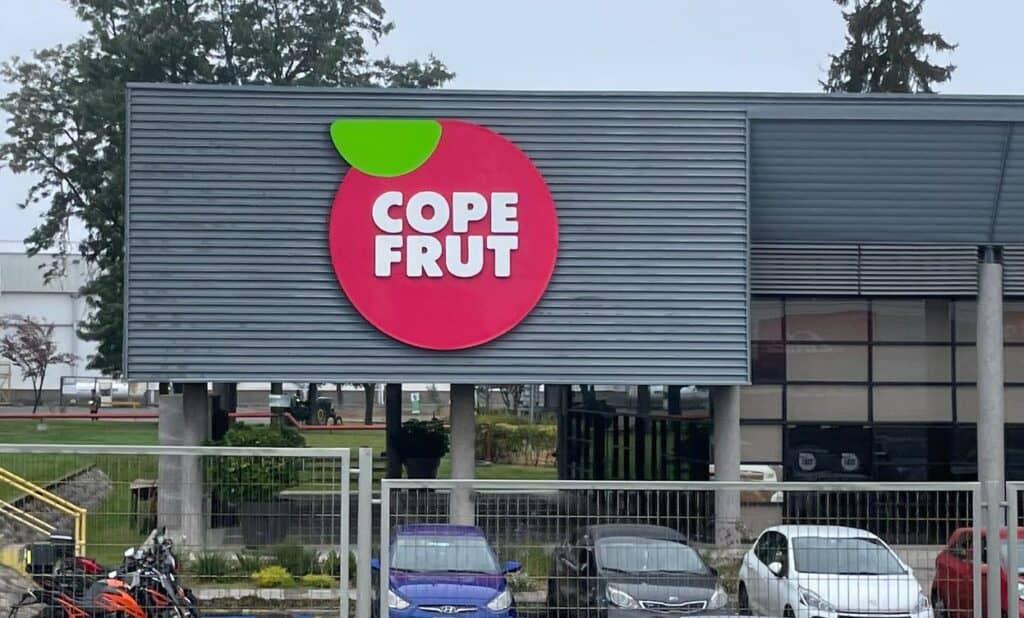 Sujetos robaron $12 millones en agroquímicos desde empresa Copefrut en Romeral