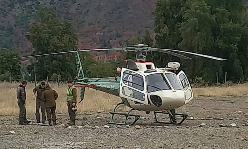 Diputado Pulgar gestionó helicóptero para rescate de animales atrapados por nevadas