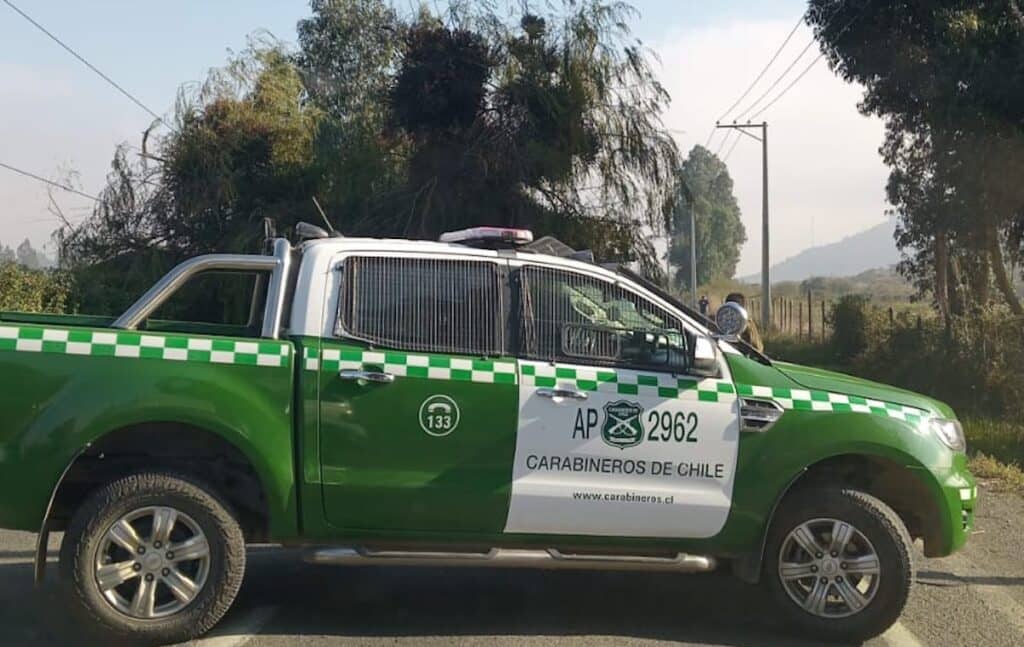Caída de añoso árbol interrumpió tránsito a la costa frente a Remolino
