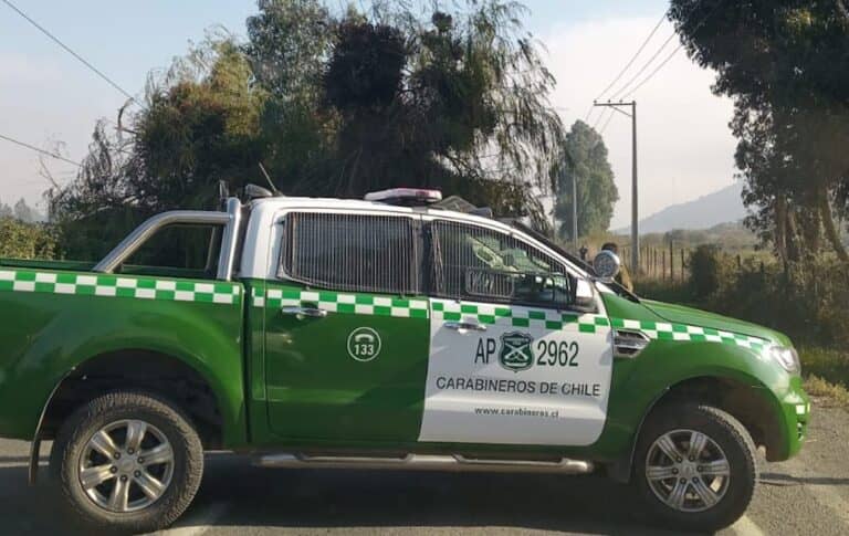 Caída de añoso árbol interrumpió tránsito a la costa frente a Remolino