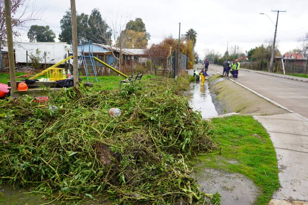 Municipio de Curicó refuerza limpieza preventiva de canales ante sistema frontal