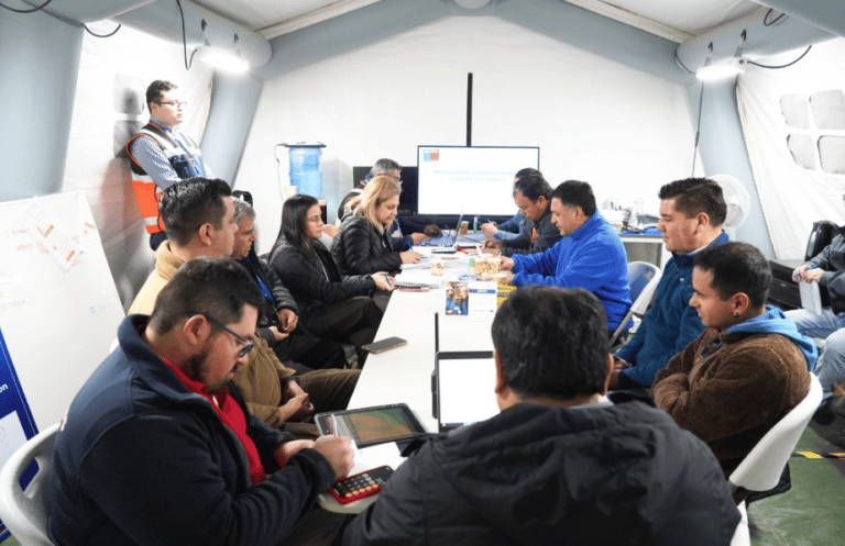 Daños menores y caídas de árboles se registran en Licantén durante el temporal