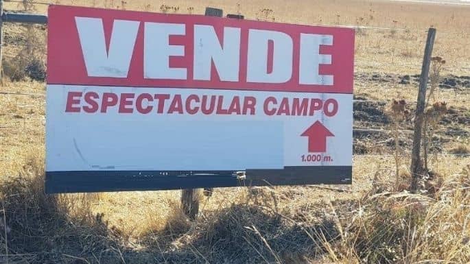 Advierten sobre estafa con venta de parcela a muy bajo precio en Molina