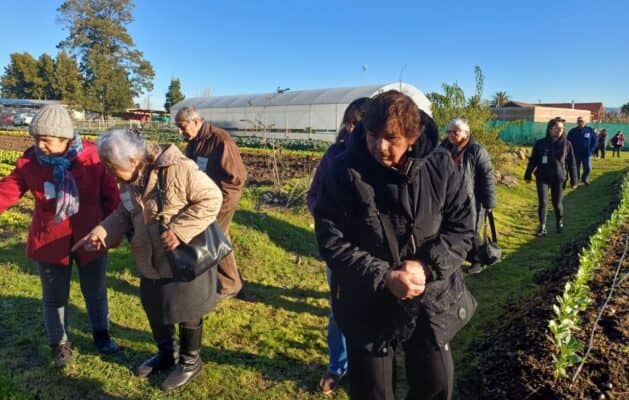 Clubes de adultos mayores de Curicó visitaron Granja Agroecológica Educativa Municipal de Curicó