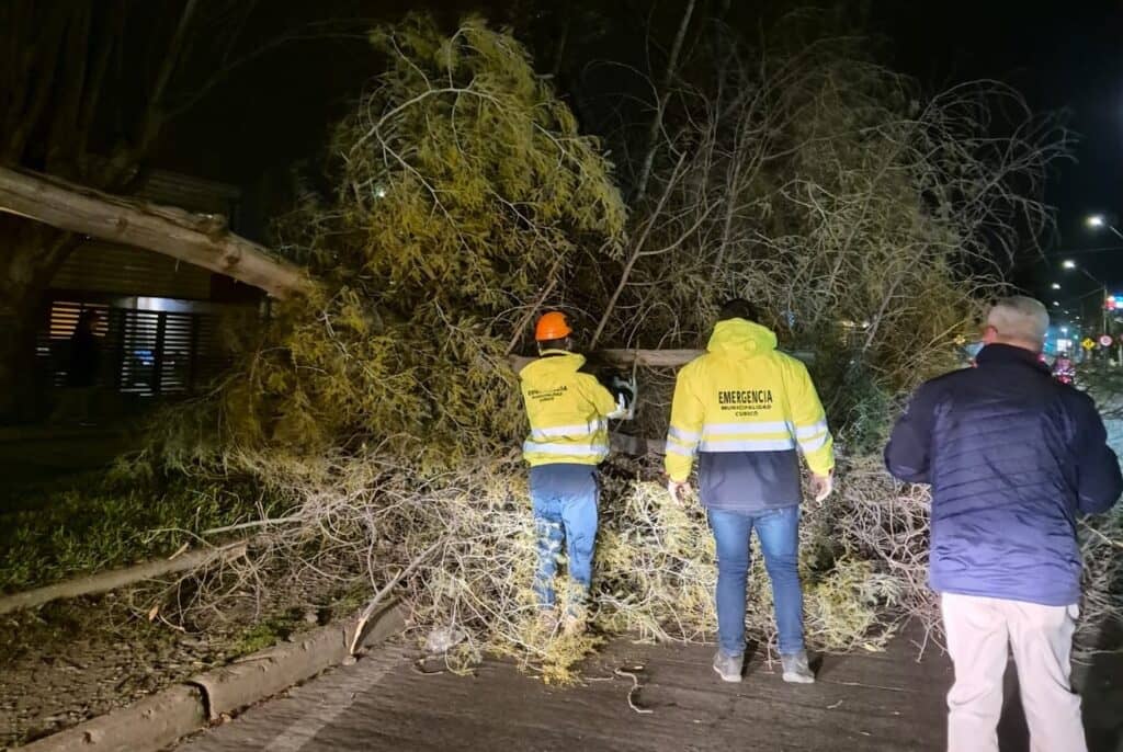 Autoridades provinciales en Curicó entregan nuevo balance por afectaciones durante temporal