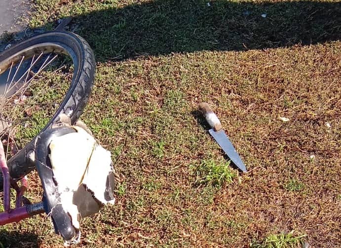 Asaltantes armados que robaron en local comercial de Molina quedaron en libertad