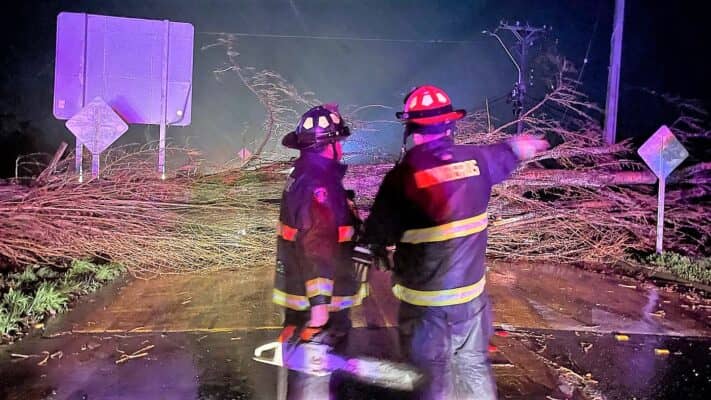 Viento provoca caída de árboles y cortes de electricidad en la provincia de Curicó