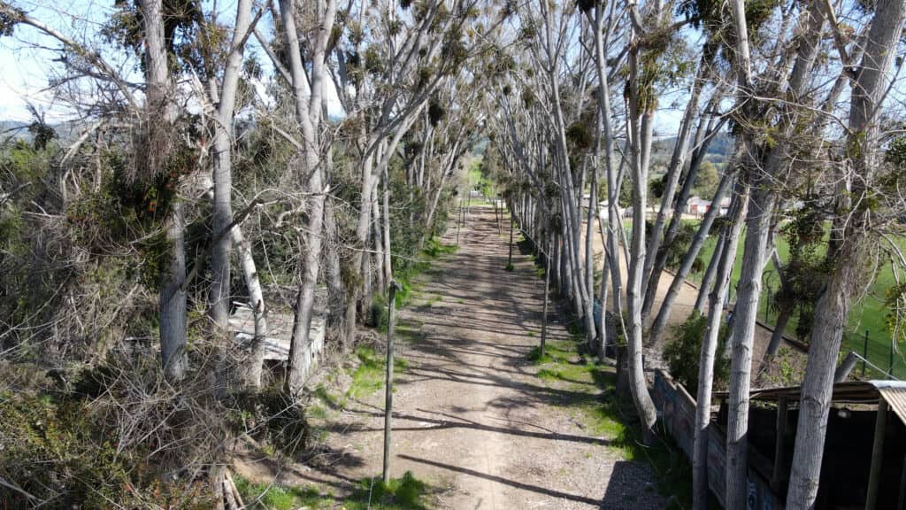 CORE del Maule aprobó recursos para construir paseo Peatonal Calle Ex Cancha De Carreras en Licantén