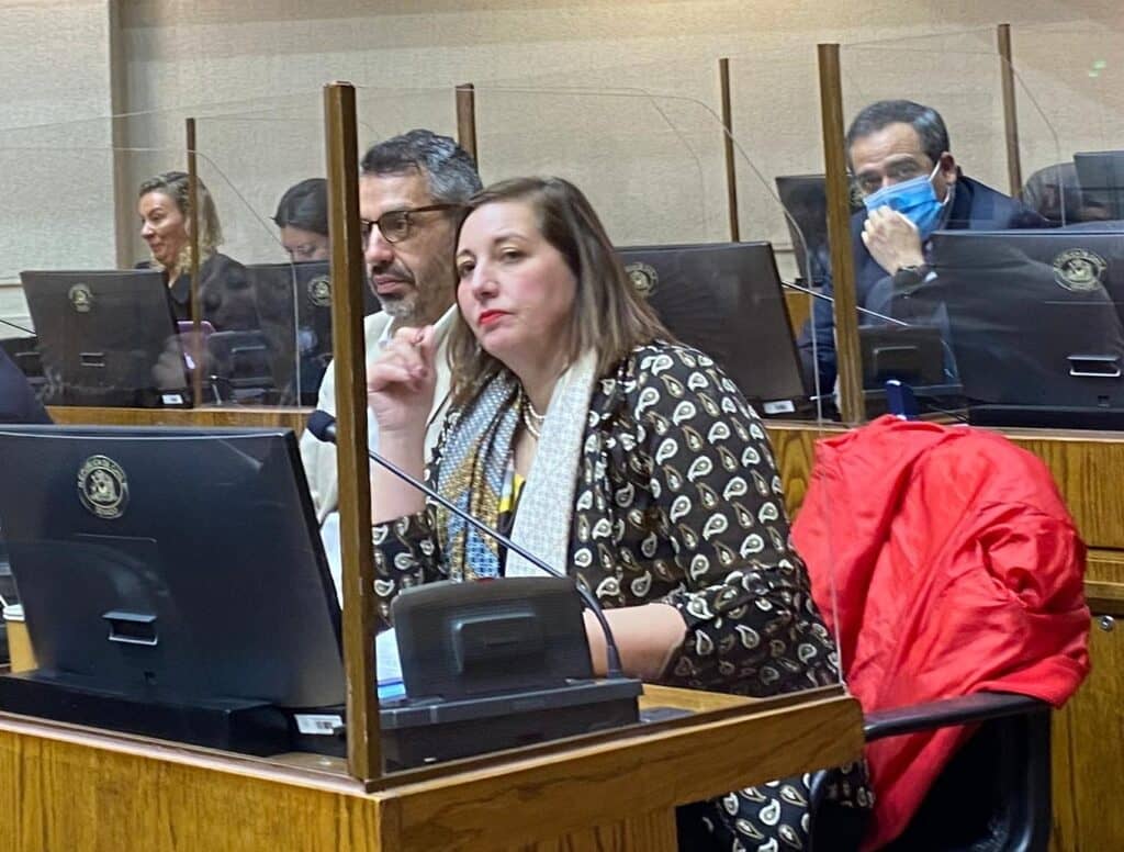 Senadora Vodanovic criticó a la derecha por rechazo a perspectiva de género y derechos humanos en creación del Ministerio de Seguridad