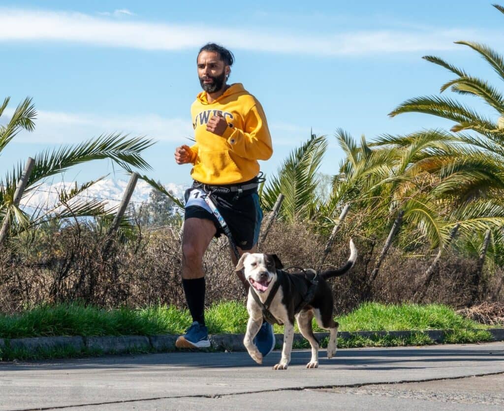 Tercera corrida “Yo Aperro con Rauco” tendrá temática de Halloween y será a beneficio de la Teletón