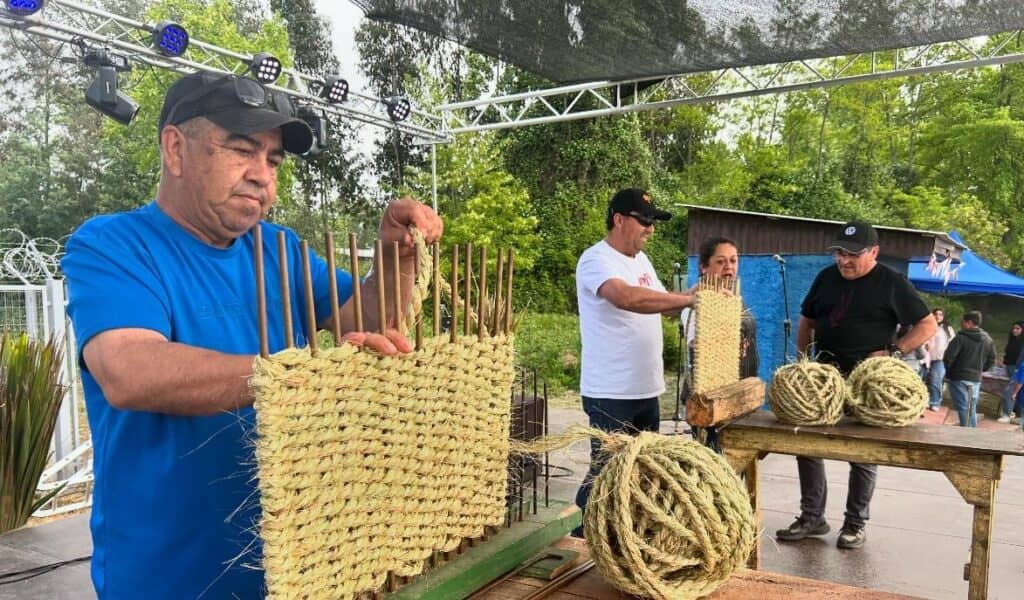 Segunda versión de la Fiesta de la Pita convocó a artesanos en Teno