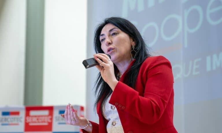 Delegado Presidencial confirma renuncia de Cristina Bravo al IPS