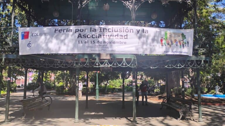 Curicó: Feria de la inclusión destaca el trabajo de emprendedores con discapacidad