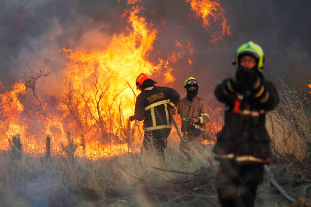 Conaf activó Botón Rojo en 90 comunas de Chile ante riesgo de incendios forestales