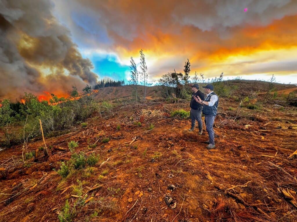 Incendio forestal destruye más de 1.300 hectáreas en Cauquenes