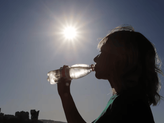 Conaf activó su Botón Rojo en toda la región del Maule ante pronóstico de altas temperaturas