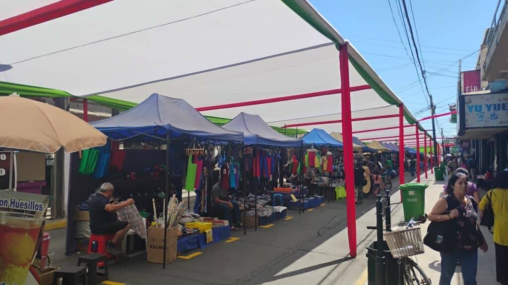 Paseo Navideño en Curicó: Desvíos de tránsito en calle Prat