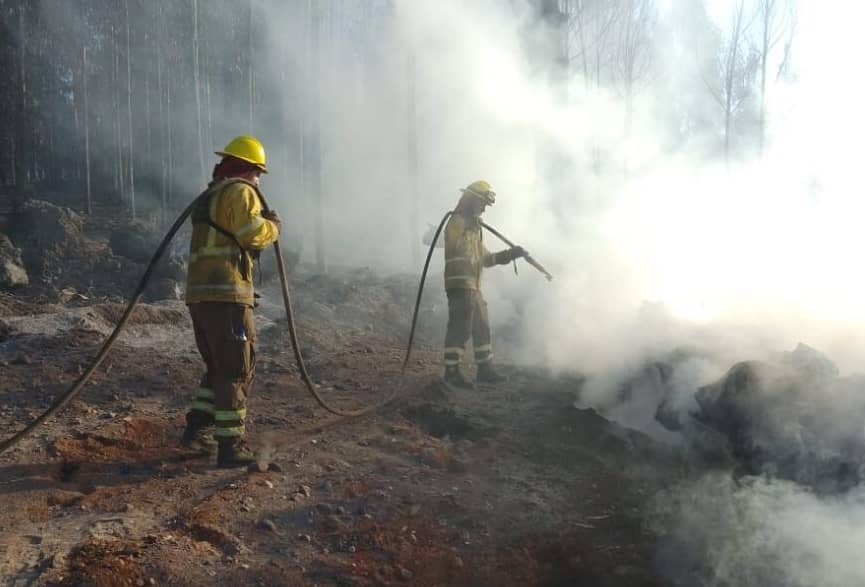Fiscalía formalizó a autor de incendio de bosque en la comuna de Maule