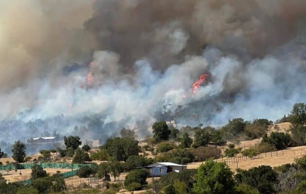 Más de 30 hectáreas destruyó incendio en sector El Parrón de Rauco