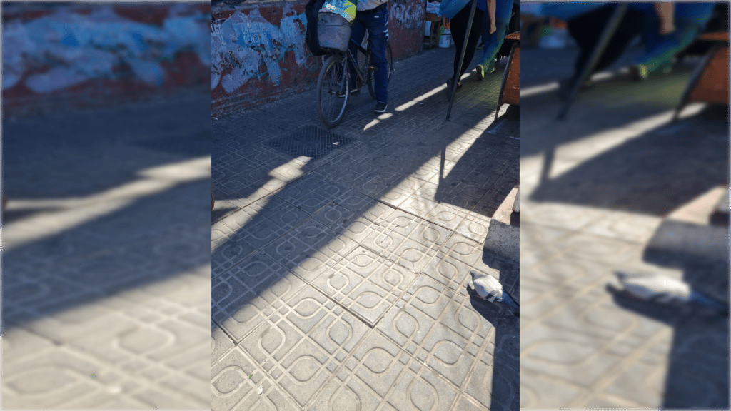 Advierten sobre baldosa suelta que provoca caídas en calle Peña esquina Av. Camilo Henríquez