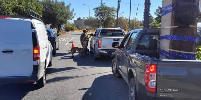 Carabineros intensifica controles en Ruta 5 Sur para combatir el narcotráfico y asegurar la seguridad vial