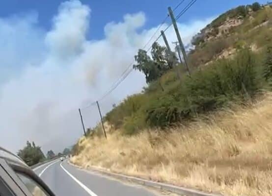 Incendio forestal amenaza viviendas en Los Coipos, Hualañé