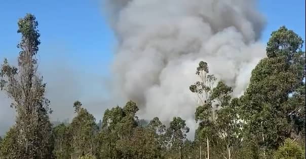 Incendio forestal en Vichuquén: Conductor de tractor detenido