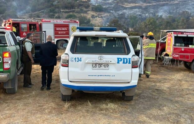 Incendio forestal "El Parrón" en Rauco deja pérdidas en colmenas y animales