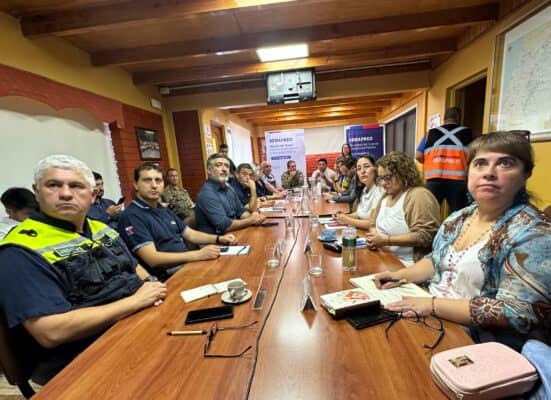 Mesa Técnica del Maule realizó balance de incendios forestales durante última ola de calor