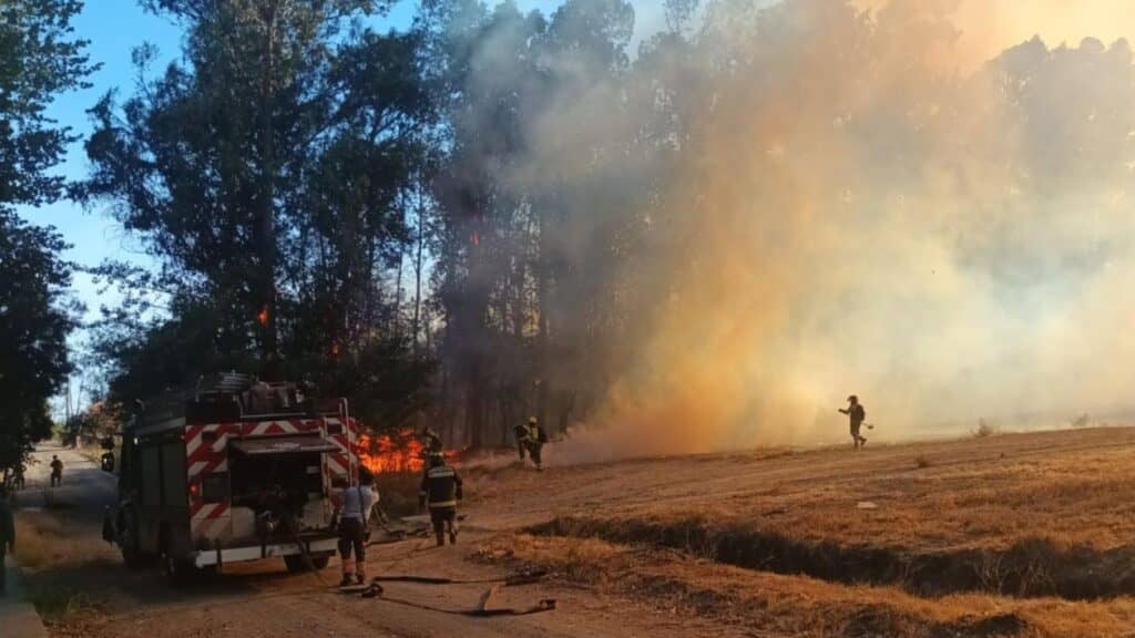 Hay dos detenidos: Incendio afectó al Jardín Botánico de la UTalca