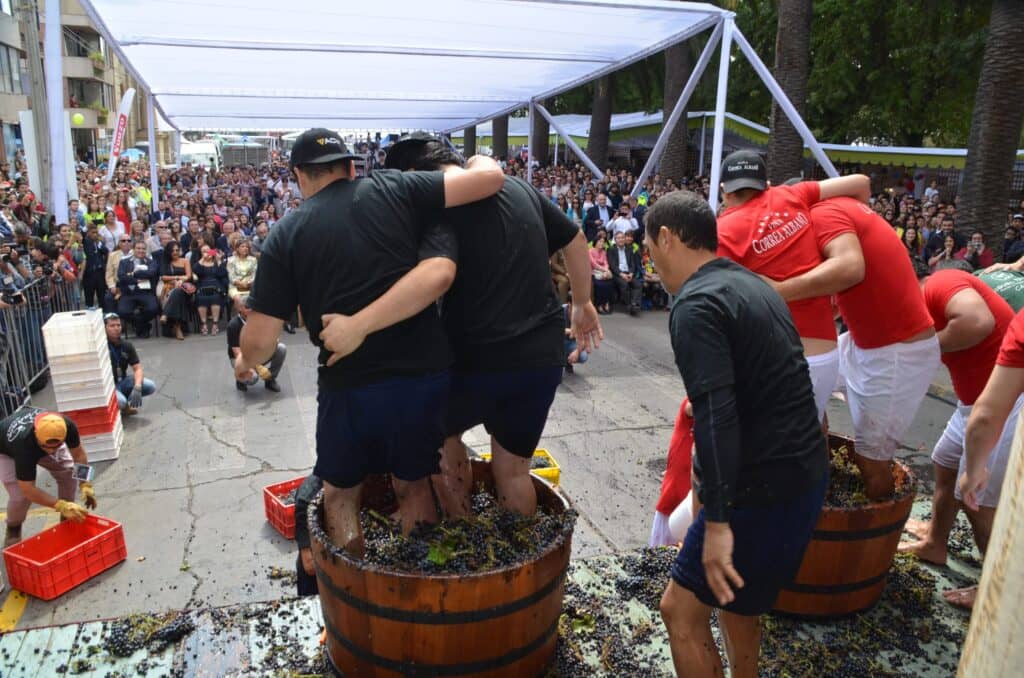 Concejales curicanos señalan sentirse excluidos de la Fiesta de la Vendimia 2025