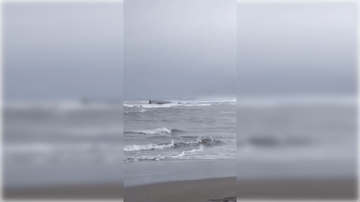 Pescadores artesanales salvan de milagro tras volcamiento de embarcación en Bucalemu