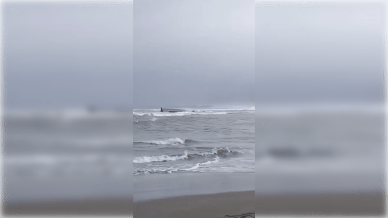 Pescadores artesanales salvan de milagro tras volcamiento de embarcación en Bucalemu