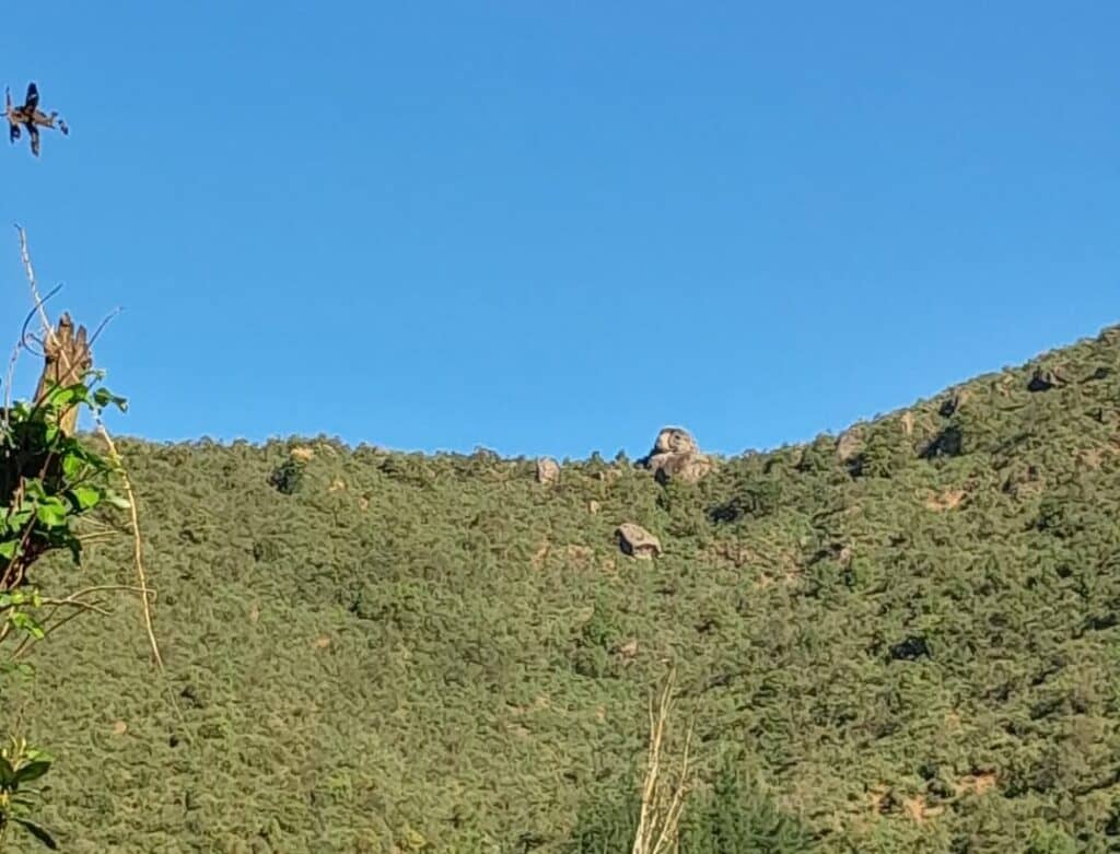 Intensa búsqueda de jóvenes talagantinos que se perdieron en cerros de Upeo