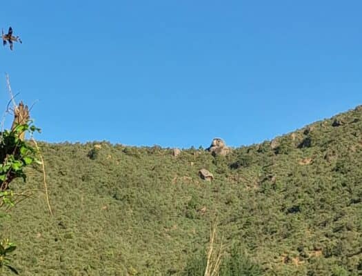 Intensa búsqueda de jóvenes talagantinos que se perdieron en cerros de Upeo