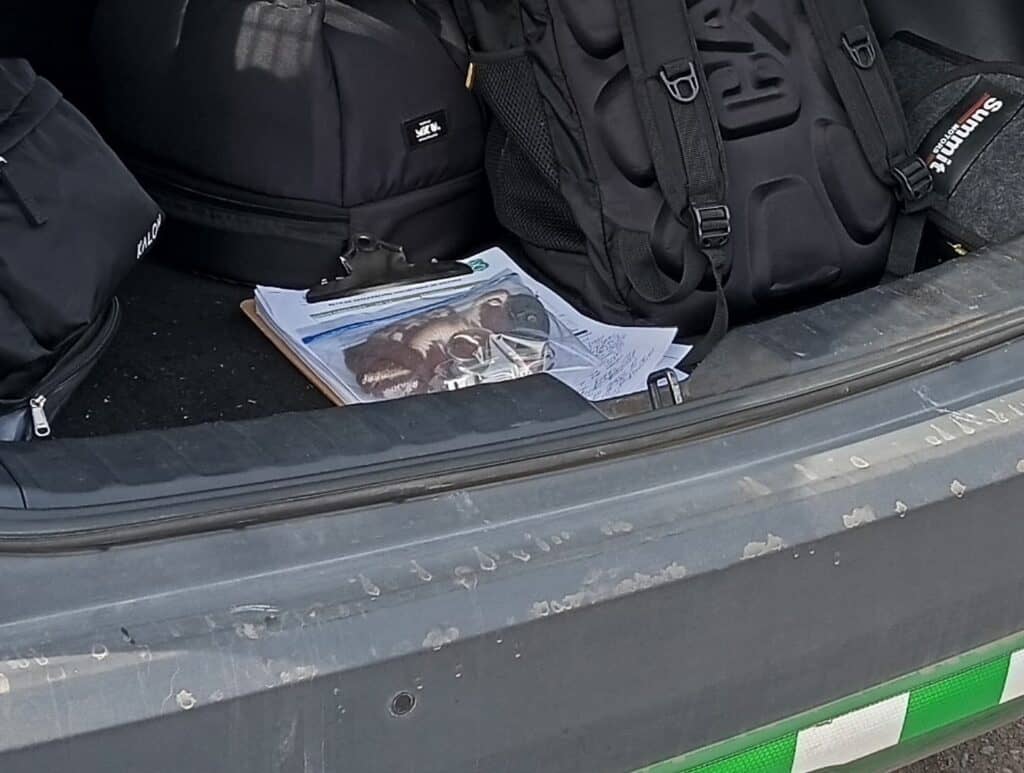 Carabineros detuvo a estudiante que amenazó a compañera con arma en Liceo Juan Terrier de Curicó