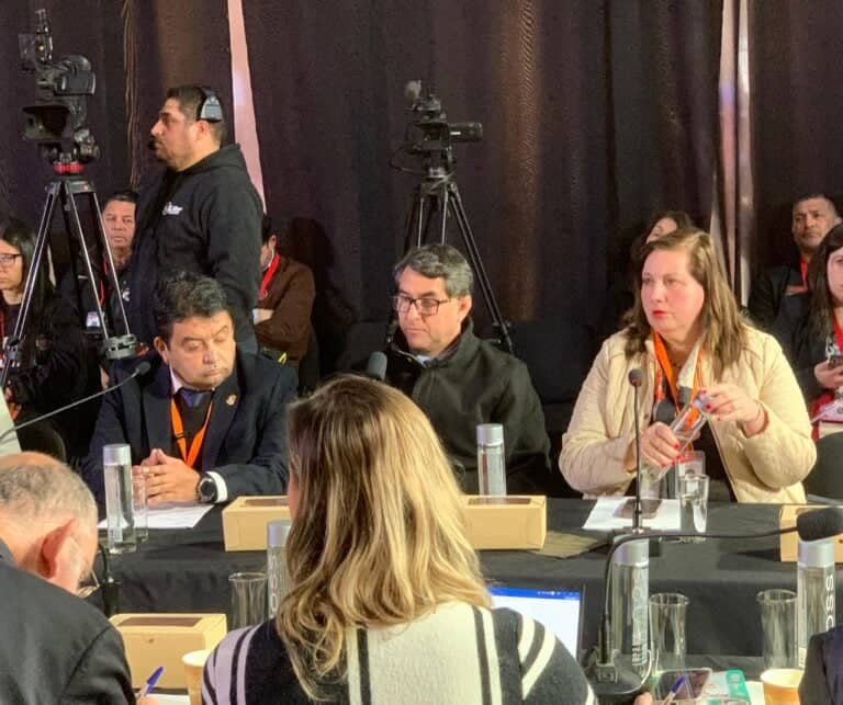 Senadora Vodanovic solicitó incluir a Constitución en Plan Calles Sin Violencia