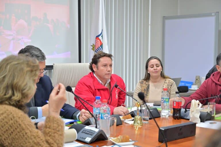Gobernador critica alzas en cuentas de la luz y exige tarifas diferenciadas para el Maule