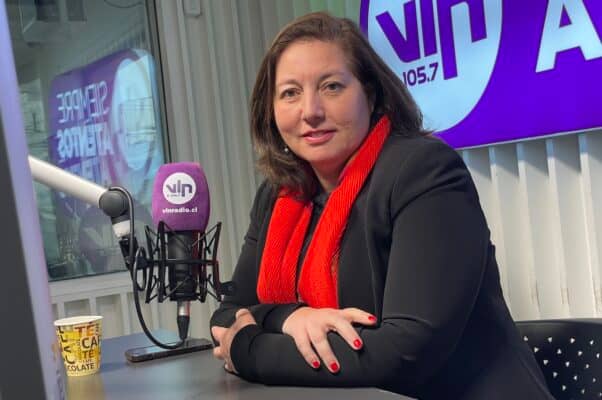 Senadora Vodanovic exige designación de un fiscal especial para perseguir el robo de cables en el Maule