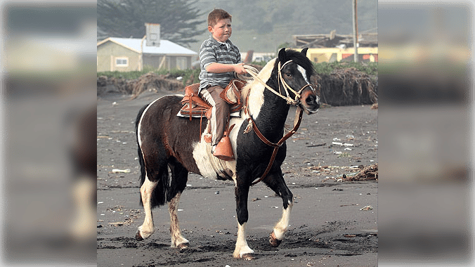 Fallece “Dominó”, el caballo que Felipe Camiroaga le regaló a Víctor “Zafrada” Díaz