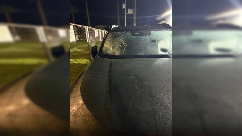 Detienen a sujeto por desórdenes y daños a vehículo en el SAR Aguas Negras
