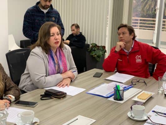 Senadora Vodanovic citó a Hacienda y Dipres por reajuste presupuestario a Gobiernos Regionales