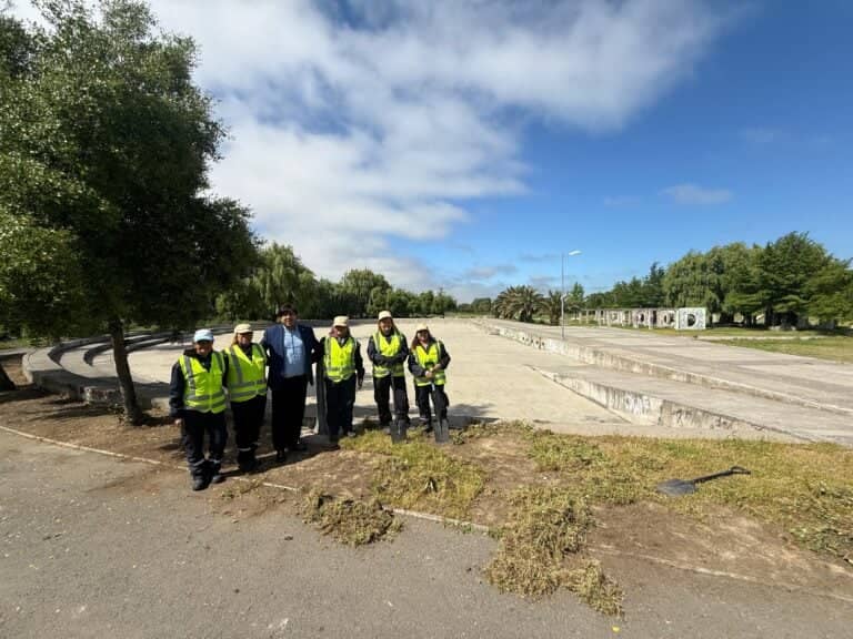 Proponen traslado de la Feria de las Pulgas al abandonado Parque Aguas Negras de Curicó