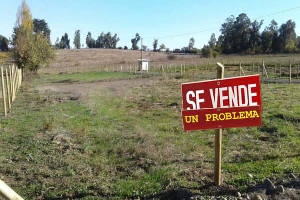 Tribunal de Linares decreta 8 años de cárcel efectiva por estafa en loteos irregulares