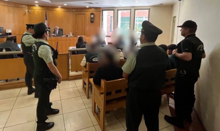 Golpe al crimen organizado: PDI desarticula banda que asaltó plantación autorizada de cannabis sativa en Pelarco